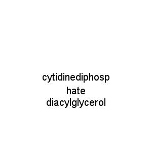 cytidinediphosphate diacylglycerol